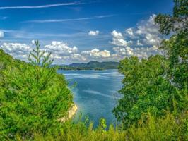 Lot 6 Sequoyah Trail