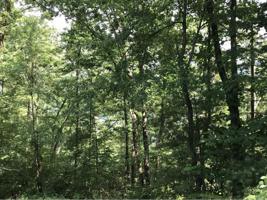Tbd Country Place Lane
