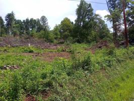 319 STOUT HOLLOW Road