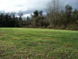 TBD Holston View Drive