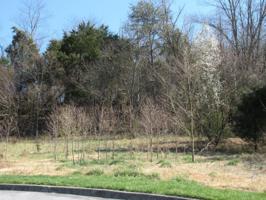 Lot 3 Lockport Circle