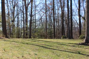 3836 Skyland Drive