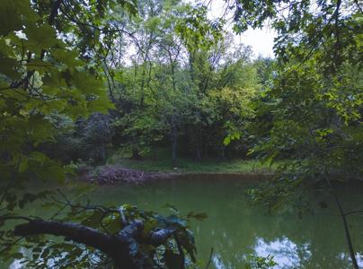Lot 178 Hill Trail Drive