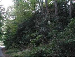 121 Banjo Ridge Road