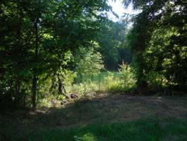 2125 Boat Dock Road
