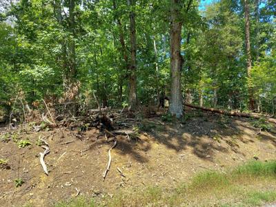 Lot 875 Tyler Court