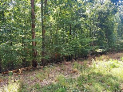 Lot 887 Stoneway Place