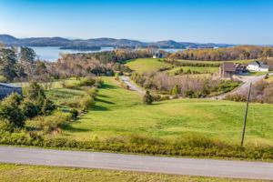 Lot 165 Hoppers Bluff