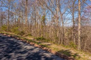 Lot 5 Shiloh Springs Road