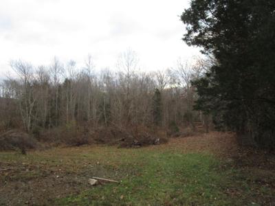 3918 Highway 11e