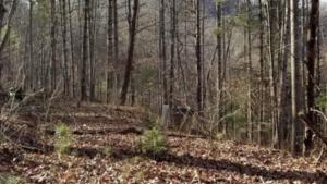 150 Watauga Overlook Drive