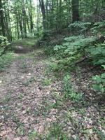 0-0 Of Old Church Loop Road