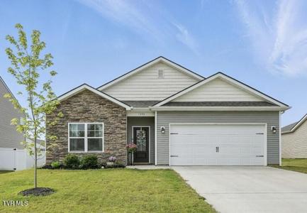 1545 Raccoon Lane