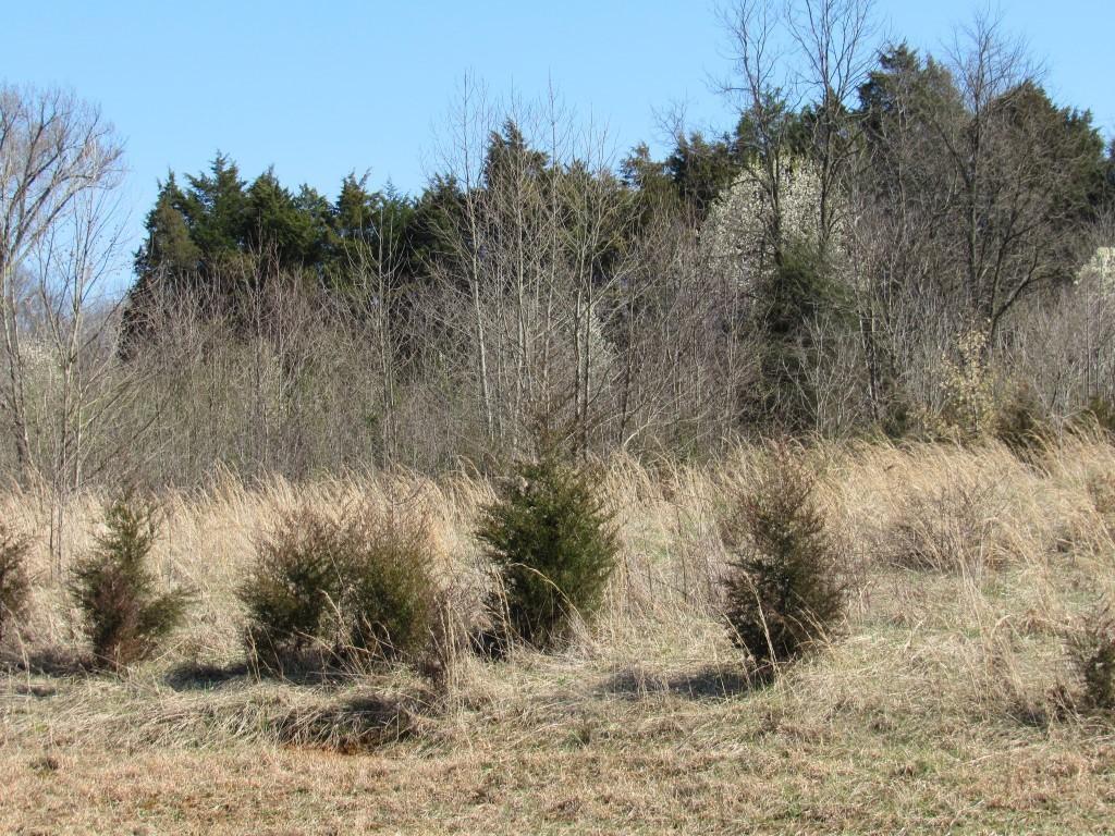 Image 4: Photo 4