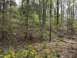 Lot 51 Tank Road