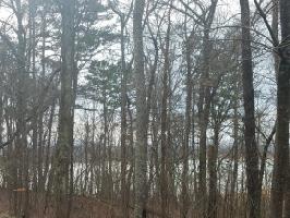 407 Chelaque Way Lot 53