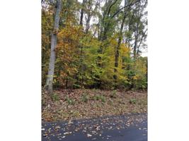TBD Havenmore Drive