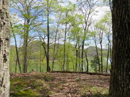 Lot 53 Walnut Bend Drive