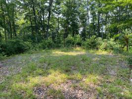 1405 Tamarack Court