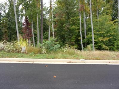 Lot 24 Bridgewater Blvd