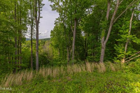 Tbd Watauga Ridge Road