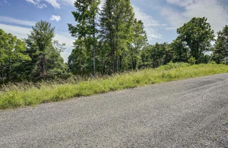 0 Lot 54 West Of Dry Hill Road