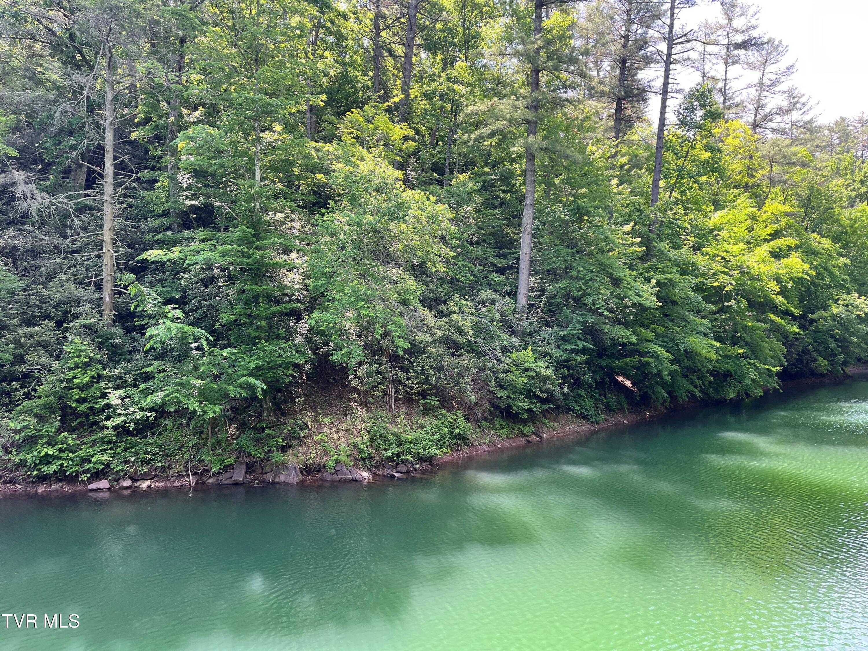 Image 3: jh24