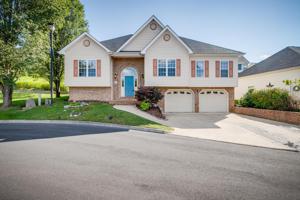 4221 Roderick Court
