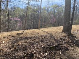 Lots 6 & 7 Hilltop View Ln