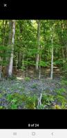2248 Island Park Circle