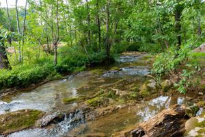 225 Old Mill Road Road