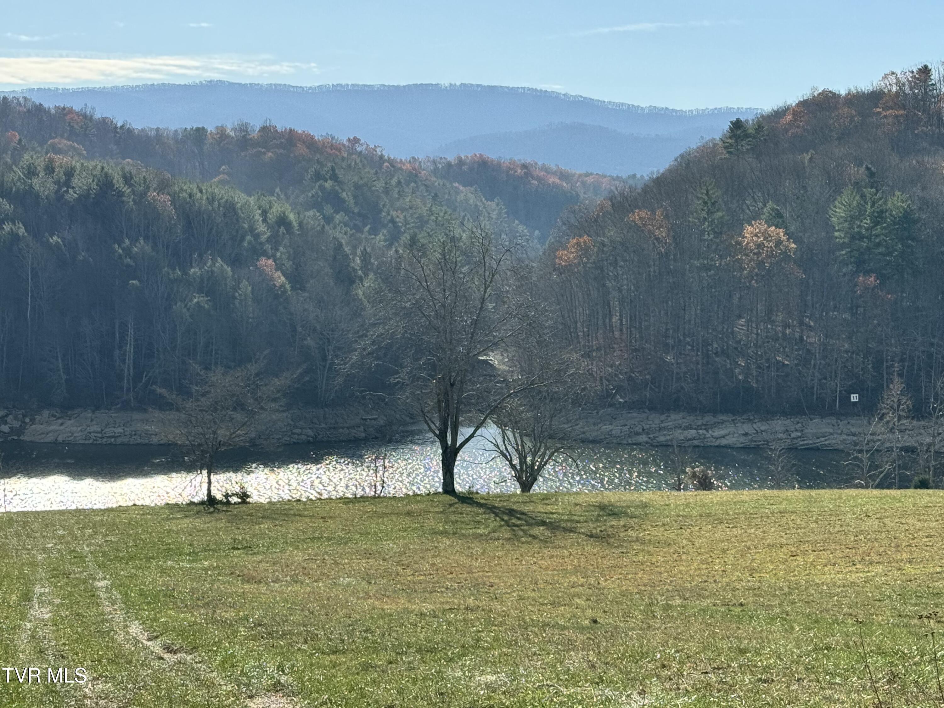 Image 2: IMG_5289