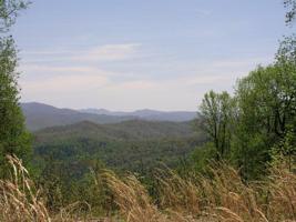 606 Tulip Poplar Trail