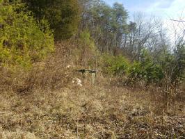 0 Big Hill Rd. Lot -