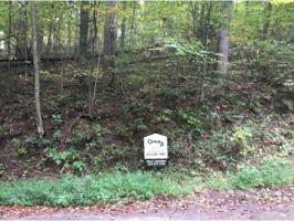 Lot 11 Banjo Ridge Rd Lot 11