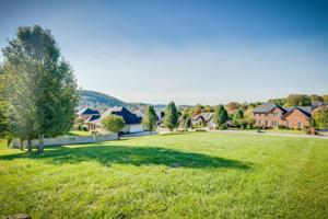 Lot 85 Ashfield Drive