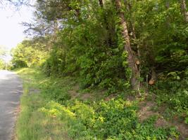 Lot 11 Arrington Rd.