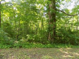 Lot 12 Grandview Circle