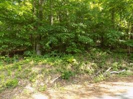 Lot 31 Grandview Estates