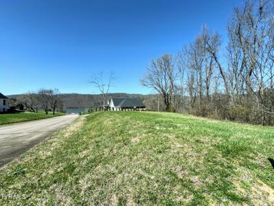 Lot 8 Deer Ridge Court
