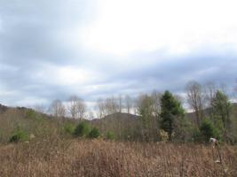 Tbd Heaton Branch Road