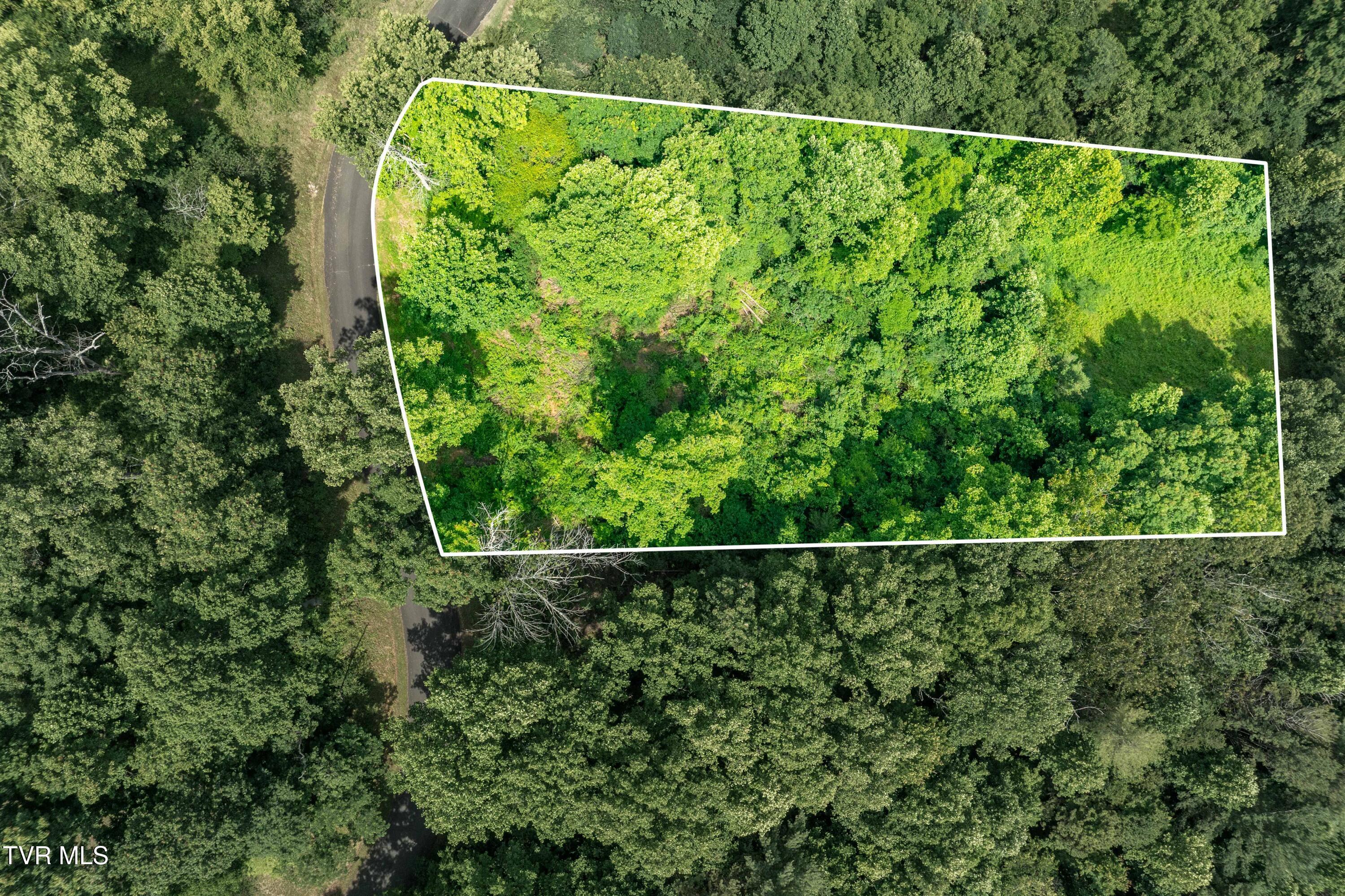 Image 1: Lot 11 (1 of 19)
