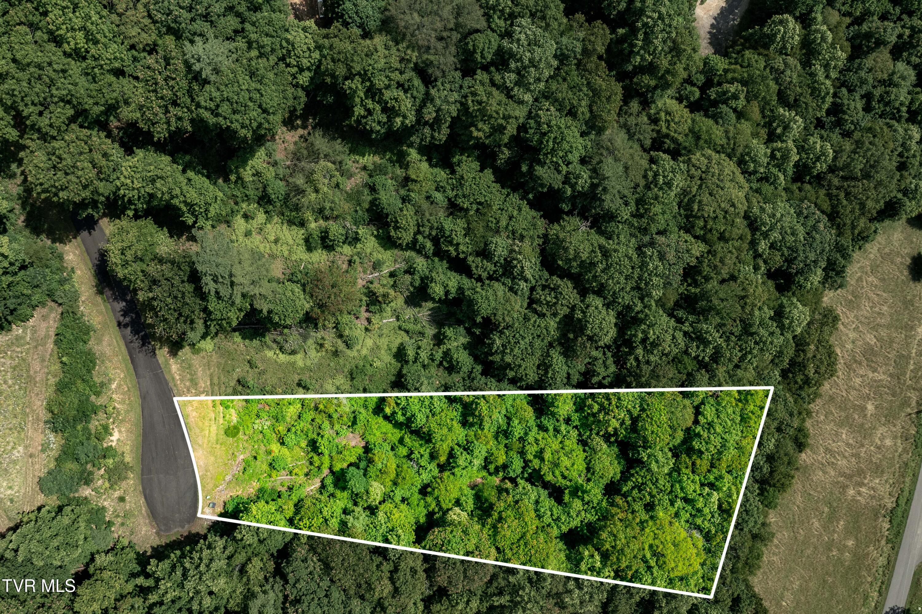 Image 1: Lot 31 (1 of 30)