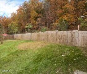 Image 4: riverview.yard.after.3 (1)