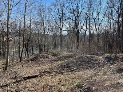 1084 Biltmore Place