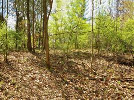 Lot 22 Windmere Place