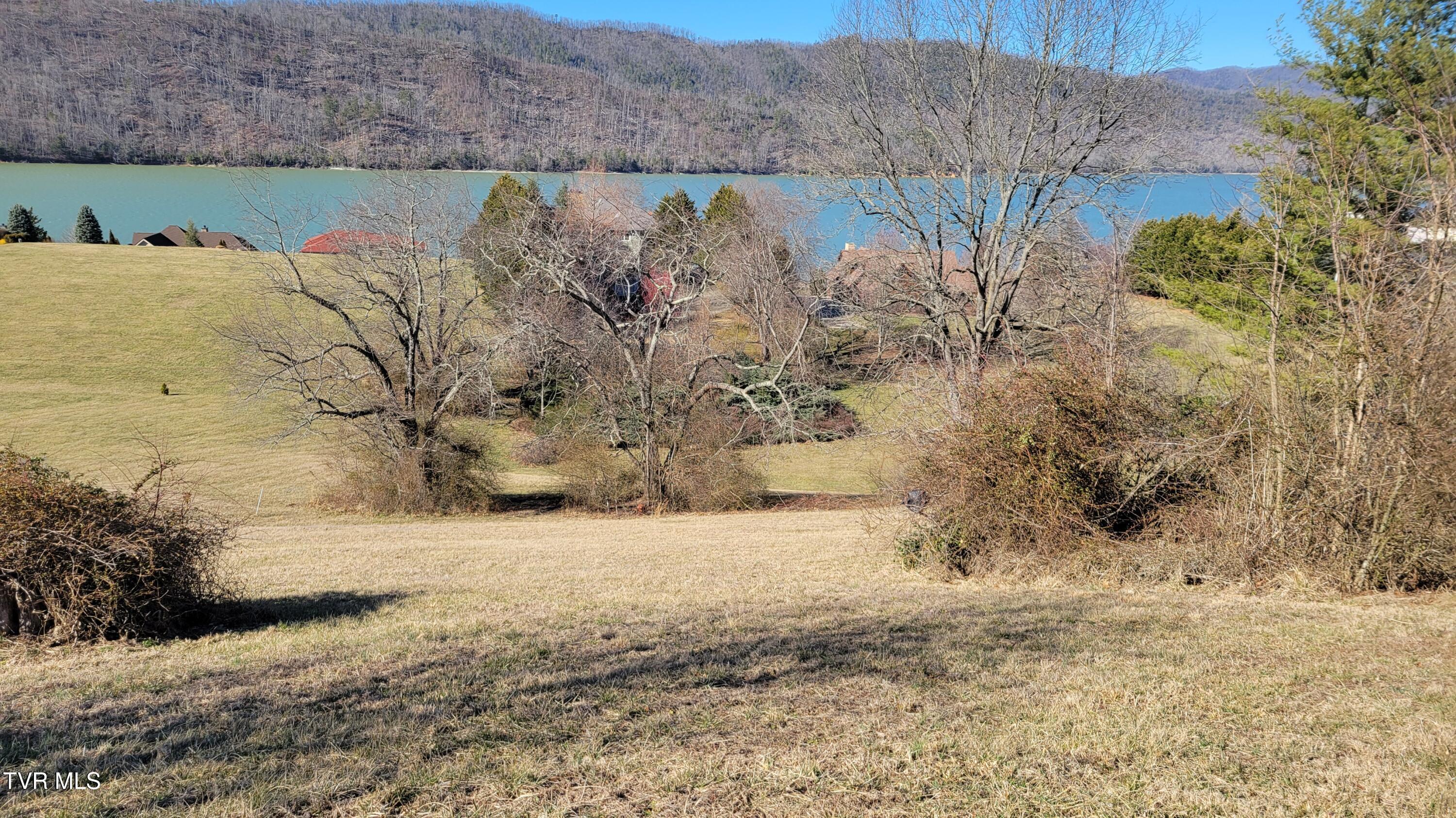 Image 3: roadsideview87