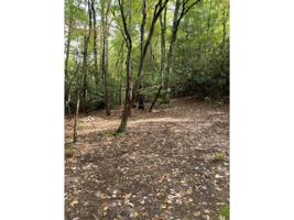Tbd Log Cabin Road
