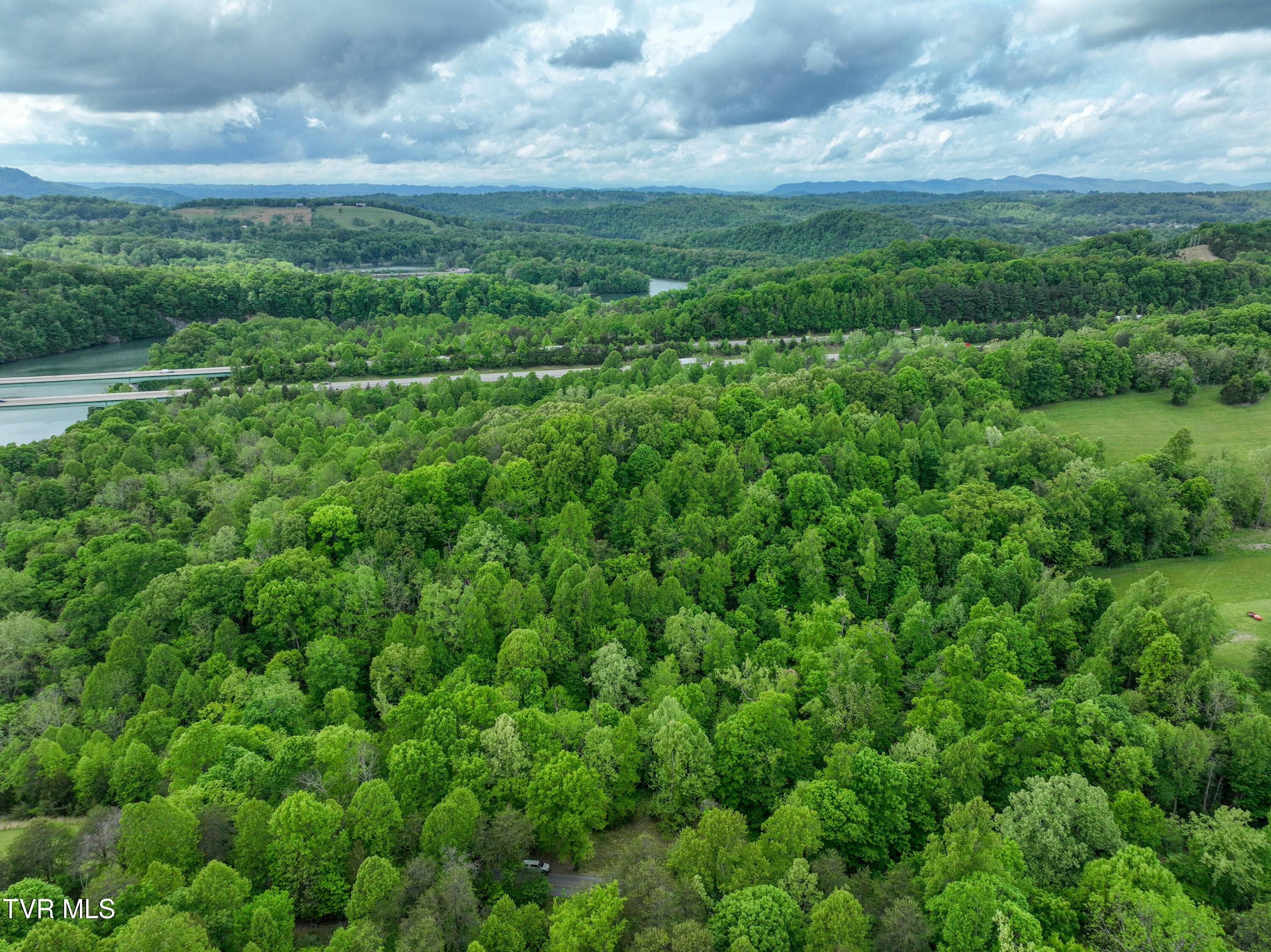 Image 3: 660 Yoakley Gottland Shoals Rd Drone HOF