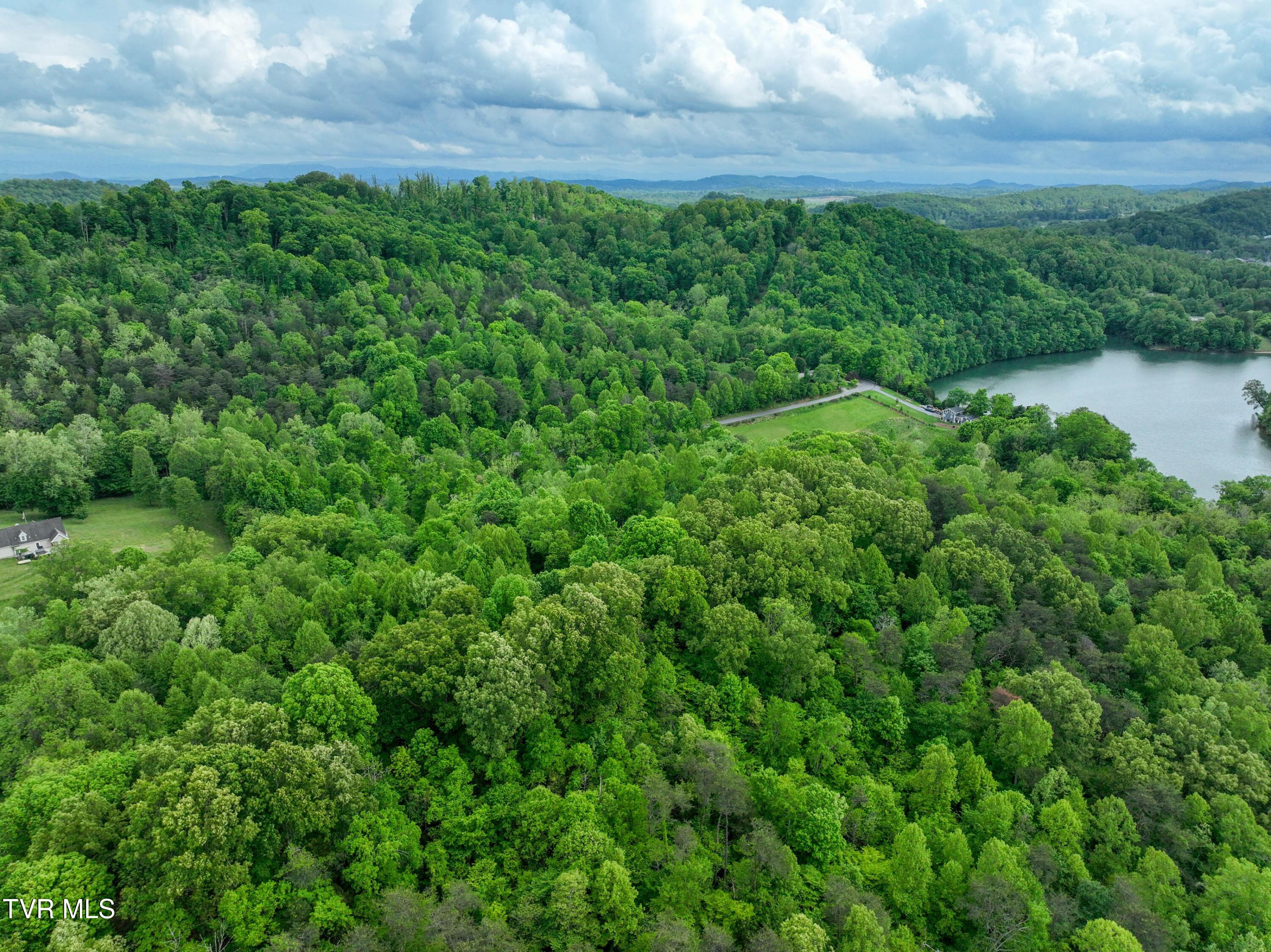 Image 4: 660 Yoakley Gottland Shoals Rd Drone HOF